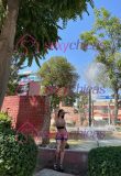 NATTHY CHILENA