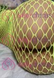 Eva (Full Anal recién llegada)🔥❤️
